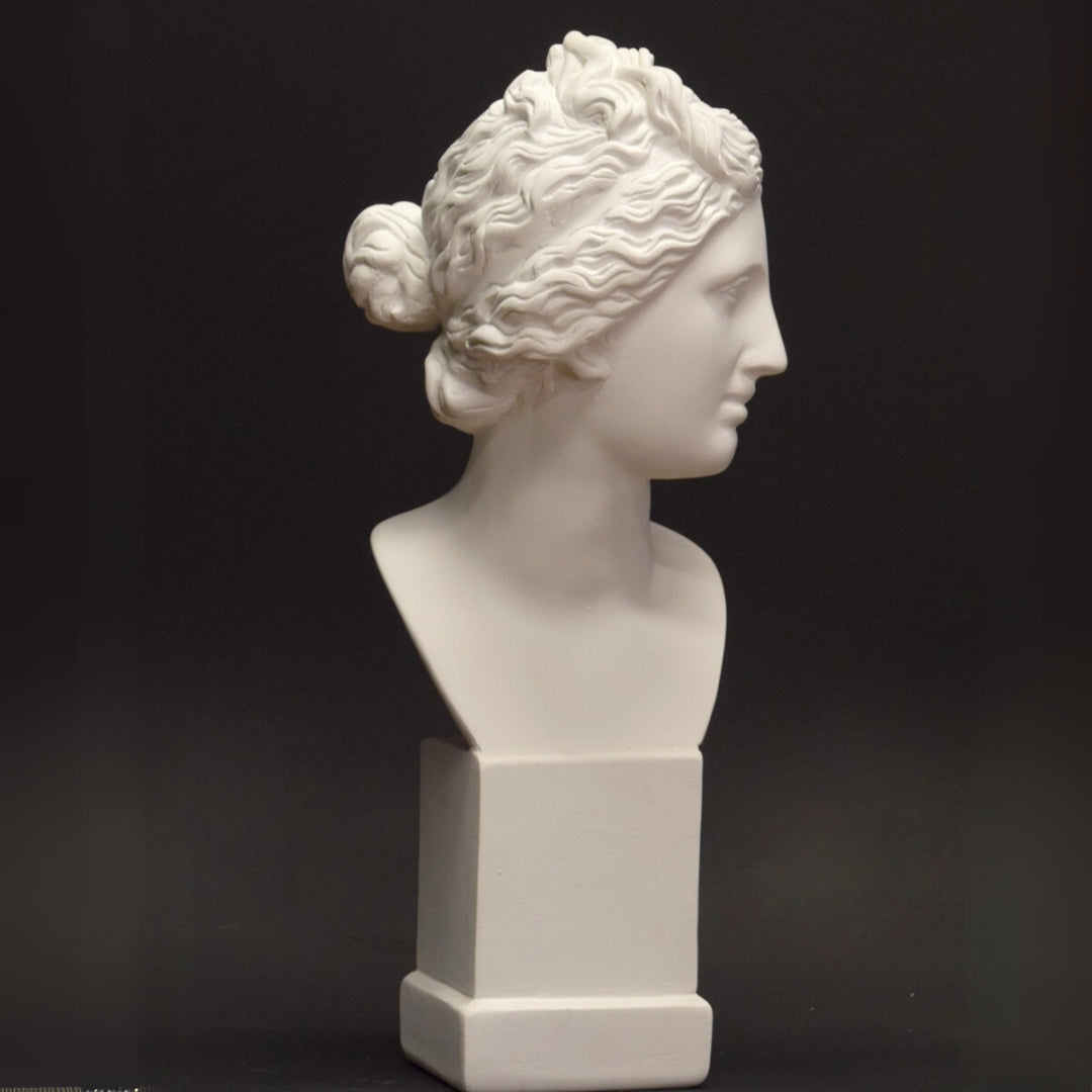 Objects & Accessories - Neoclassical Bust, Venus De Medici