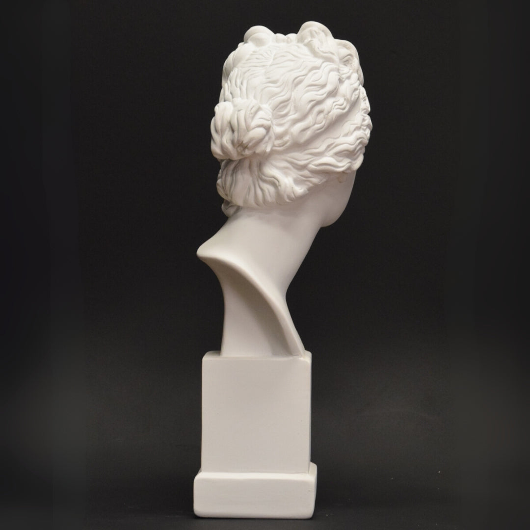 Objects & Accessories - Neoclassical Bust, Venus De Medici